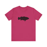 Goliath Grouper Profile