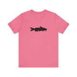 Catfish Profile