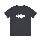 Goliath Grouper Profile