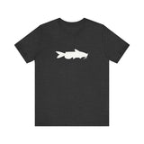 Catfish Profile