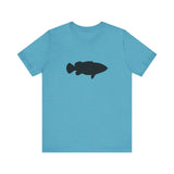 Goliath Grouper Profile