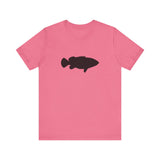 Goliath Grouper Profile