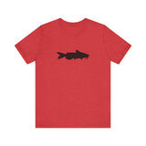 Catfish Profile