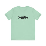 Catfish Profile