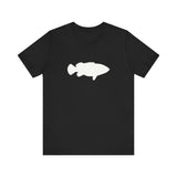 Goliath Grouper Profile