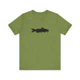 Catfish Profile