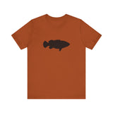 Goliath Grouper Profile