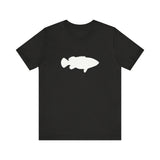 Goliath Grouper Profile