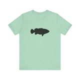 Goliath Grouper Profile