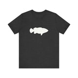 Goliath Grouper Profile